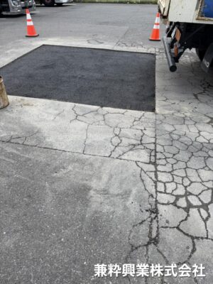 1788333384228.jpg